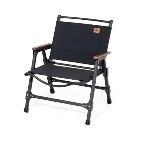 صندلی تاشو نیچرهایک مدل CNK2350JJ015