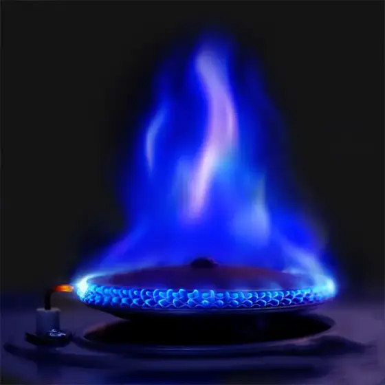 اجاق دو شعله نیچرهایک DOUBLE-FLAME مدل CNH22CJ046